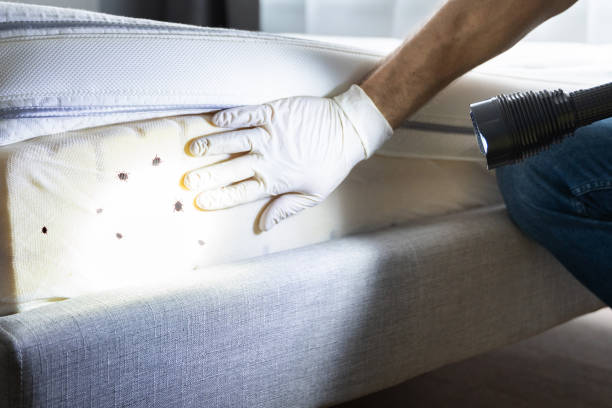 Reliable Scottsville, KY Pest Control Solutions